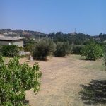 Coltiva Italia passa alla Camera: 1,1 miliardi per l’agricoltura